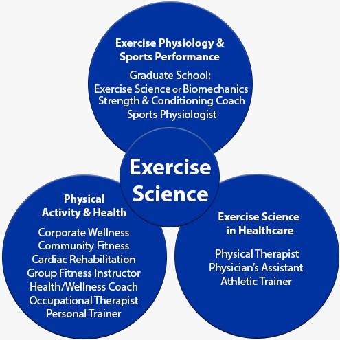 Curriculum: Exercise Science, B.S. - Exercise Science - Grand Valley State  University